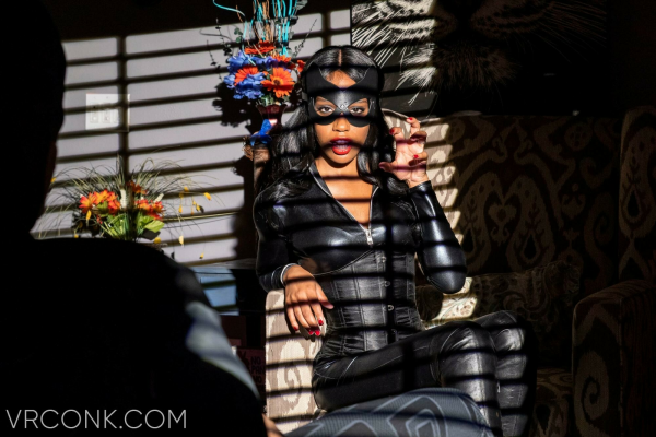 The Bat And The Cat - Image 1