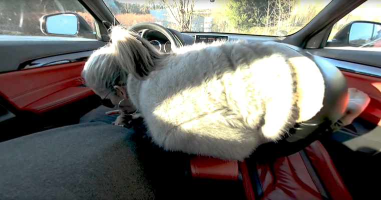 Sabdeluxe Hot Car Footjob Adventure - Image 6