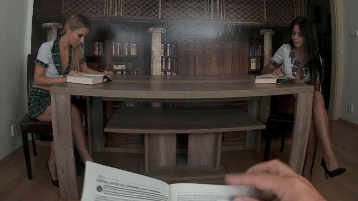 Mia Trejsi and Lucky Bee: Post Graduate Fellows - Image 1